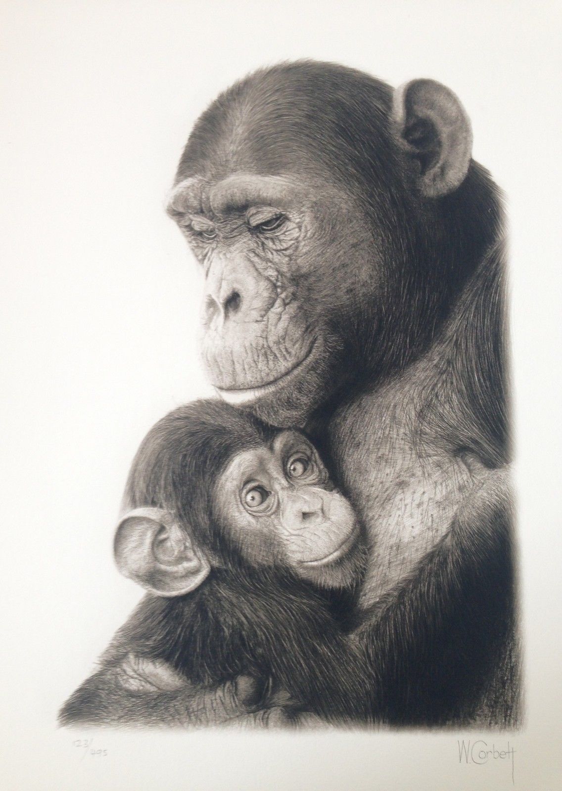 Wendy Corbett "Safe In The Arms"