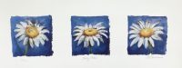 Nel Whatmore "Daisy Chain"