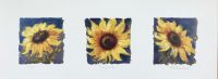 Nel Whatmore "Sunny Smiles"