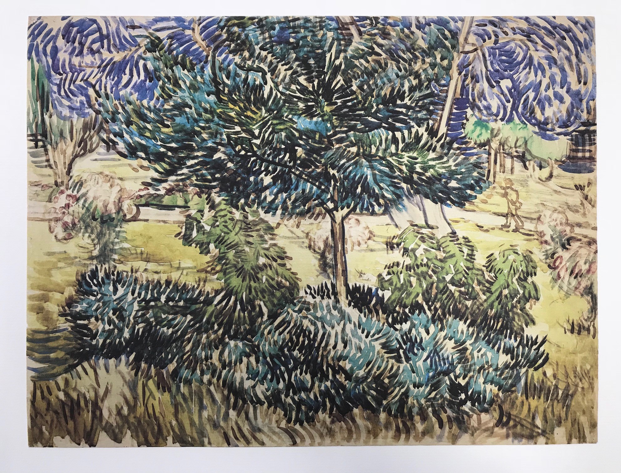 Vincent Van Gogh "Trees And Shrubs In The Garden Of St. Paul's"