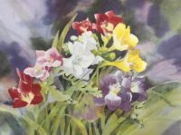 Janet Whittle