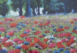 Jo Watson "A Stoll Through The Meadow"