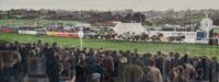 Mark Elsmore "At The Races"