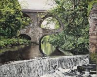 Chris Common "New Mills"