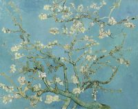 Vincent Van Gogh "Almond Blossom"