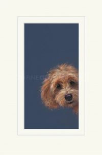 Nicky Litchfield "Sneaky Peek"